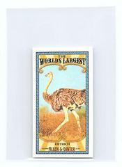 Ostrich #MWL-21 Baseball Cards 2021 Topps Allen & Ginter World’s Largest Minis Prices