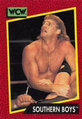 Southern Boys #135 Wrestling Cards 1991 Impel WCW Prices