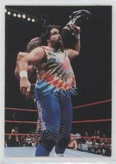 Dude Love Wrestling Cards 1998 WWF Superstarz Prices