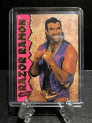 Razor Ramon Wrestling Cards 1995 Action Packed WWF Prices