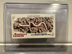 Worm Burner Baseball Cards 2022 Topps Allen & Ginter Mini Lexicon Prices