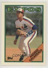 Andres Galarraga #25 Baseball Cards 1988 Topps Tiffany Prices