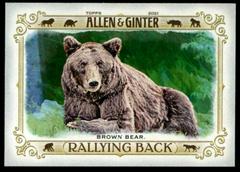 Brown Bear #RB-9 Baseball Cards 2021 Topps Allen & Ginter Rallying Back Prices