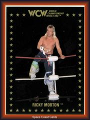Ricky Morton Wrestling Cards 1991 Championship Marketing WCW Prices