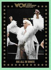 Ric All in White Wrestling Cards 1991 Championship Marketing WCW Prices