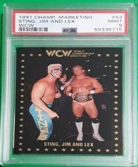 Sting, Jim and Lex Wrestling Cards 1991 Championship Marketing WCW Prices