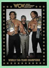 World Tag Team Champions Wrestling Cards 1991 Championship Marketing WCW Prices