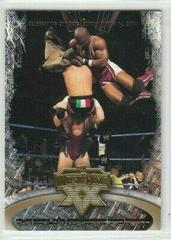 The World's Greatest Tag Team [Gold] Wrestling Cards 2004 Fleer WWE WrestleMania XX Prices