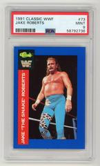 Jake Roberts #73 Wrestling Cards 1991 Classic WWF Prices