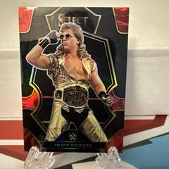 Shawn Michaels [Black Blue] Wrestling Cards 2023 Panini Select WWE Prices