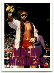 Macho King' Randy Savage #126 Wrestling Cards 1990 Classic WWF Prices