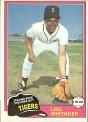 Lou Whitaker #234 Baseball Cards 1981 O Pee Chee Prices