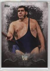 Andre The Giant Wrestling Cards 2016 Topps WWE Undisputed Prices