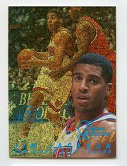 Jim Jackson [Row 0] Basketball Cards 1996 Flair Showcase Legacy Collection Prices