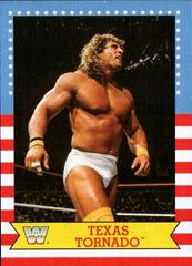 Texas Tornado Wrestling Cards 2017 Topps WWE Heritage SummerSlam All Stars Prices