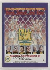 WCW Fall Brawl Wrestling Cards 1995 Cardz WCW Main Event Prices