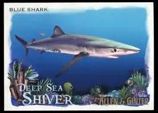 Blue Shark #DSS-5 Baseball Cards 2021 Topps Allen & Ginter Deep Sea Shiver Prices