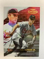 Cal Ripken Jr. [Class 1 Red] Baseball Cards 2020 Topps Gold Label Prices