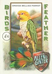Orange-Bellied Parrot #BOF-9 Baseball Cards 2021 Topps Allen & Ginter Birds of a Feather Prices