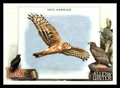 Hen Harrier #TT-12 Baseball Cards 2023 Topps Allen & Ginter TALON Ted Prices