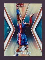 Ben Wallace #23 Basketball Cards 2005 Spx Prices