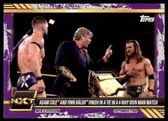 Adam Cole and Finn Balor Finish in a Tie in a 4 Way Iron Man Match [Purple] #65 Wrestling Cards 2021 Topps WWE NXT Prices