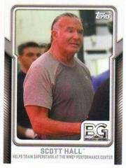 Scott Hall Wrestling Cards 2017 Topps WWE Breaking Ground Prices