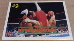 The Bushwhackers Wrestling Cards 1989 Classic WWF Prices
