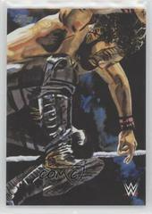 Seth Rollins #RS-5 Wrestling Cards 2019 Topps WWE Undisputed Rob Schamberger Portraits Prices
