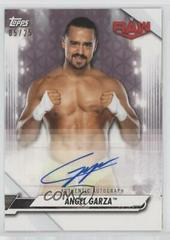 Angel Garza #NA-AG Wrestling Cards 2021 Topps WWE NXT Alumni Autographs Prices