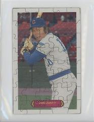 Ron Santo Baseball Cards 2023 Topps Heritage 1974 Puzzles Prices