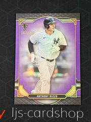 Anthony Rizzo [Amethyst] #81 Baseball Cards 2022 Topps Triple Threads Prices