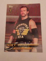 Adam Cole Wrestling Cards 2018 Topps WWE Prices