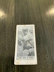 Bib A. Falk [Bibb] #39 Baseball Cards 1928 Yuengling's Ice Cream Prices