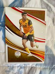 Raul Jimenez [Ruby] #123 Soccer Cards 2020 Panini Immaculate Collection Prices