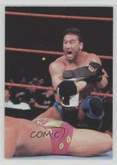 Ken Shamrock Wrestling Cards 1999 WWF SmackDown Prices