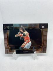 1 2 3 Kid #238 Wrestling Cards 2023 Panini Select WWE Prices