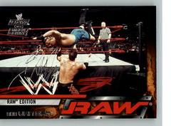 Rob Van Dam Wrestling Cards 2002 Fleer WWE Raw vs Smackdown Prices