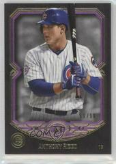 Anthony Rizzo [Amethyst Purple] #6 Baseball Cards 2017 Topps Museum Collection Prices