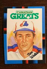 Tim Wallach [Canadian Greats] #255 Baseball Cards 1988 Leaf Prices