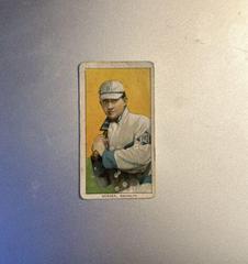 Bill Bergen [Batting] Baseball Cards 1909 T206 Hindu Brown Prices