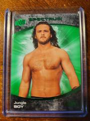 Jungle Boy [Green] #76 Wrestling Cards 2021 Upper Deck AEW Spectrum Prices