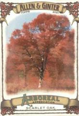 Scarlet Oak #AA-10 Baseball Cards 2021 Topps Allen & Ginter Arboreal Appreciation Prices