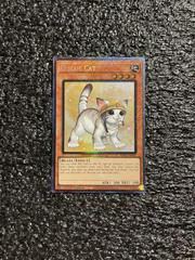 Rescue Cat [Collector's Rare] RA02-EN001 YuGiOh 25th Anniversary Rarity Collection II Prices