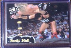 Scott Hall #10 Wrestling Cards 1998 Topps WCW/nWo Prices