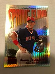 Nomar Garciaparra [Star Rubies] Baseball Cards 1999 Skybox Premium Prices