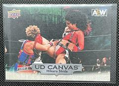 Hikaru Shida Wrestling Cards 2022 Upper Deck AEW UD Canvas Prices