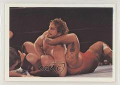 Brad Armstrong #205 Wrestling Cards 1988 Wonderama NWA Prices