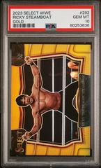 Ricky 'The Dragon' Steamboat [Gold] #292 Wrestling Cards 2023 Panini Select WWE Prices