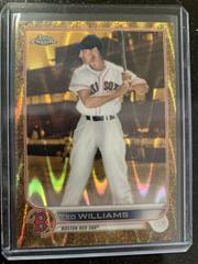 Ted Williams [RayWave Gold] #102 Baseball Cards 2022 Topps Gilded Collection Prices